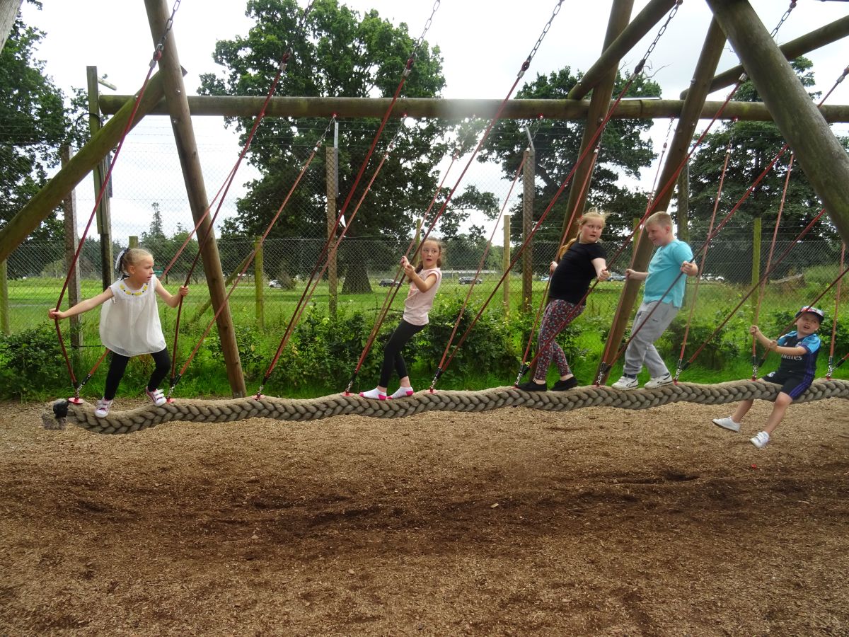 Blair Drummond Safari & Stirling Family Day private tour